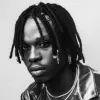 Fireboy DML
